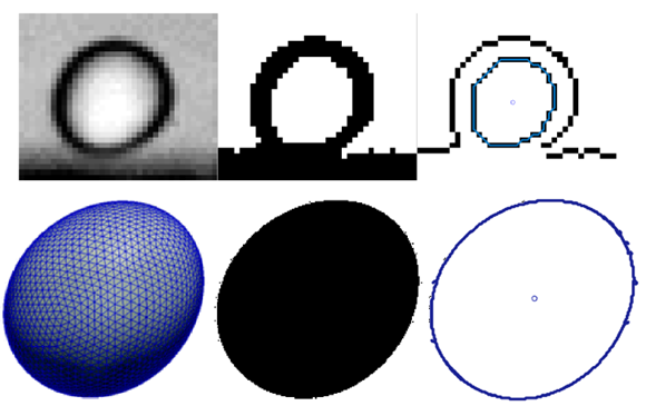 image of edge detection techniques applied to cell data to determine the shape of the cell